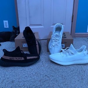 Yeezy 350